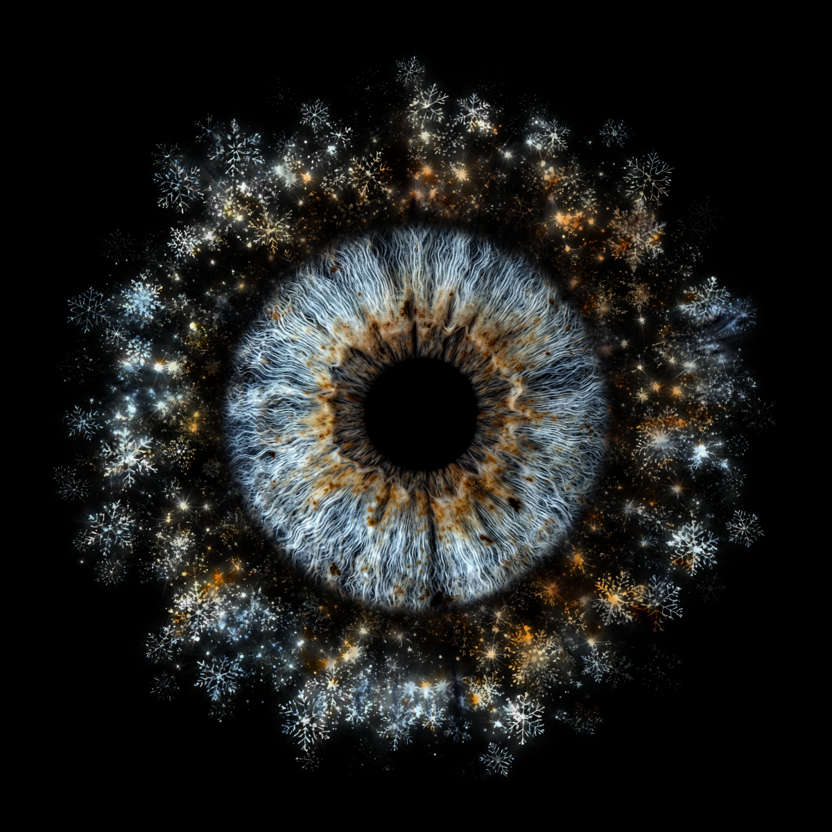 Kreative Irisfotografie mit den individuell gestalteten Iriden.