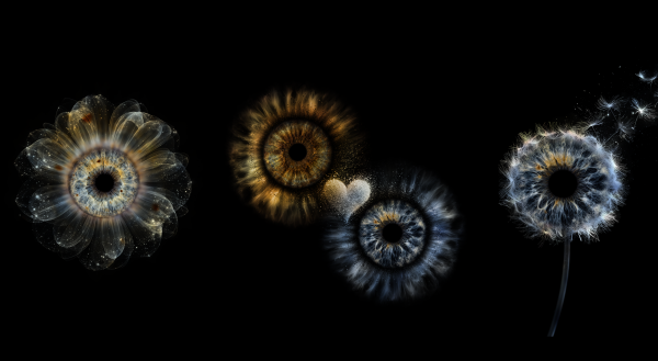 CREATE IRIS